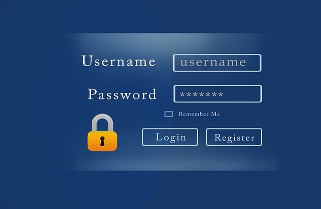 affordable website design