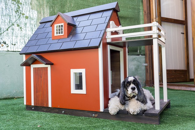 air conditioned dog house