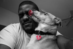 Cool Comfort: Navigating Air Conditioned Dog House Options for Pets