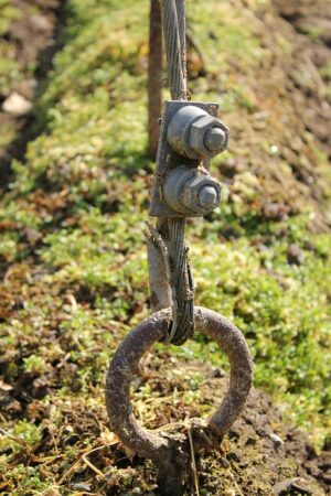 Master Internal Linking: Optimize Anchor Text in WordPress for Engaging Content