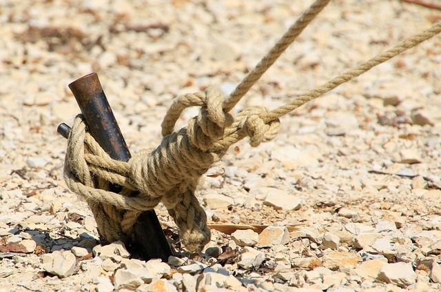 Master Internal Linking: Optimize Anchor Text for Engagement