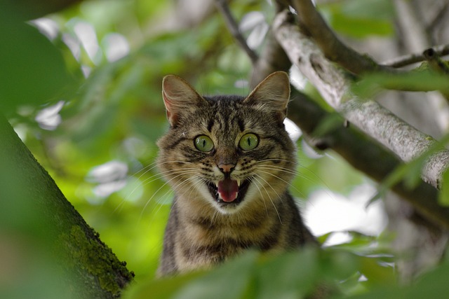anger management therapy Chandler AZ