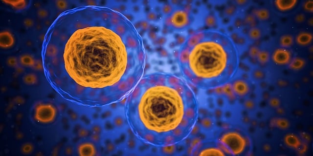 Arizona liability coverage healthcare