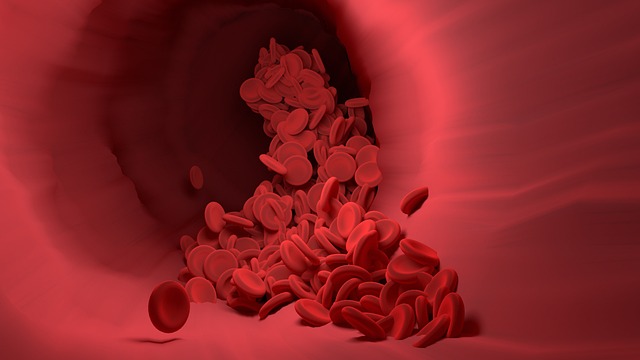 Arizona liability coverage healthcare