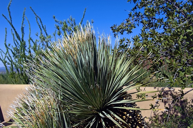 Arizona liability coverage healthcare