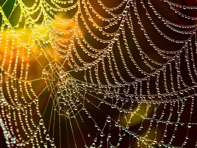 artistic web design