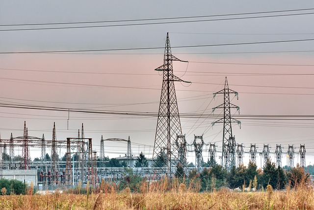 asset distribution mediation