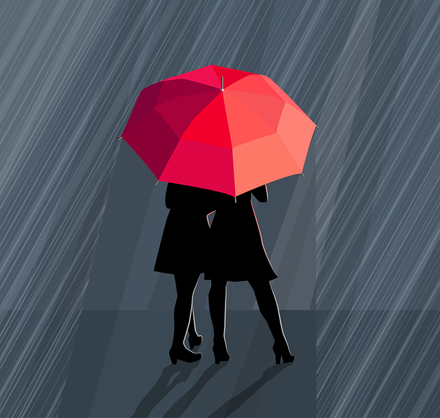 asset protection in mediation