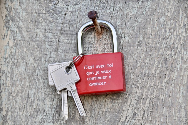 asset protection in mediation