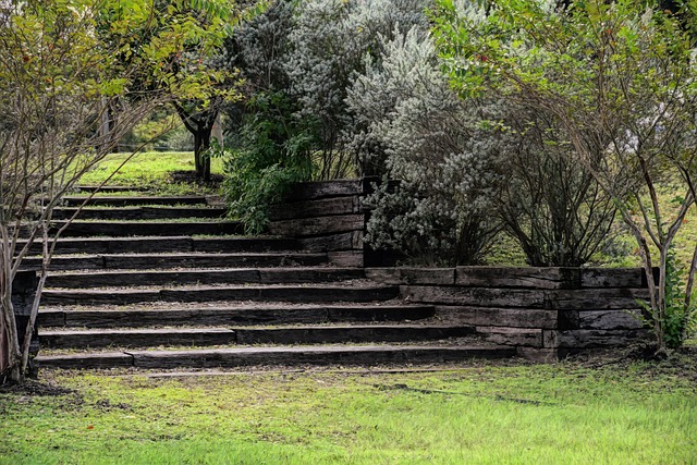 Austin acupuncture services