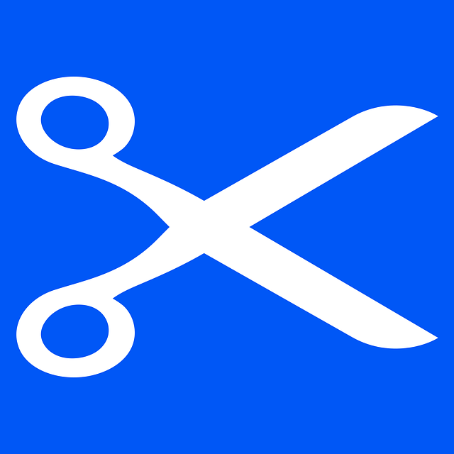 automatic internal linking tool