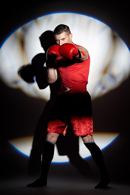 AZ fight academy