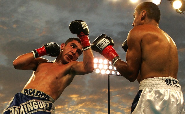 AZ fight academy