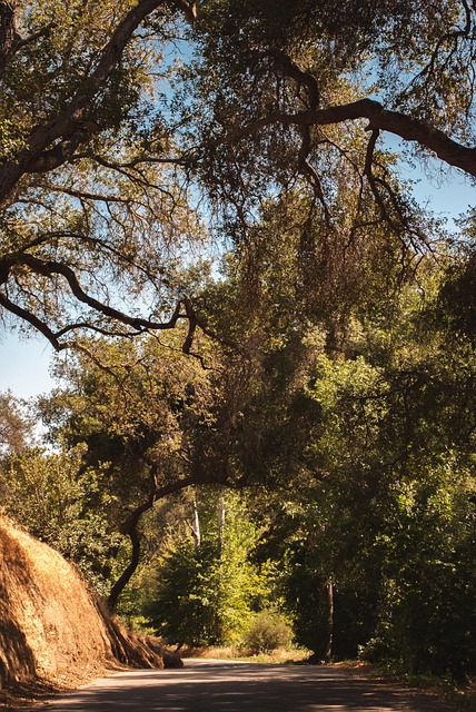 Bay Area divorce mediation