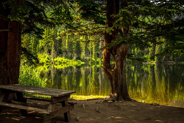 Bay Area divorce mediation