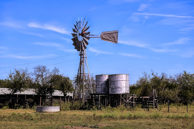 best acupuncture Austin
