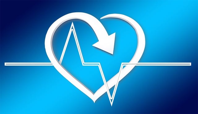 Best Auto Insurance Rates