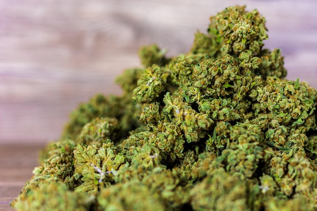 Best CBD Edibles
