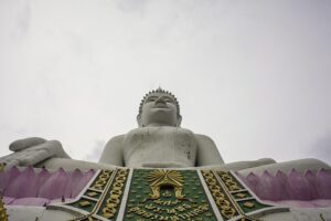 Tempe Jiu Jitsu: Mastering Ground Control and Building Community
