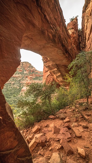 bodify-arizona-640x480-12549575.jpeg