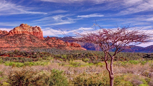 Bodify Arizona