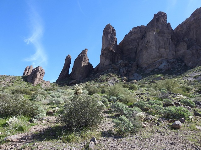Bodify Arizona