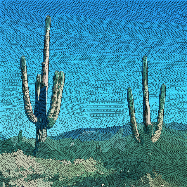 Bodify Arizona