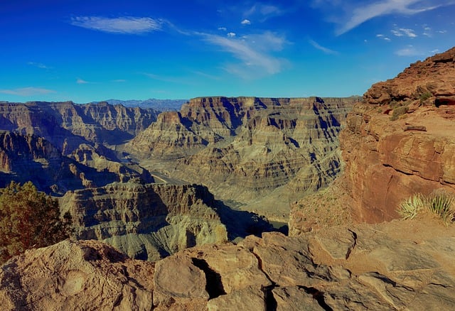 Bodify Arizona