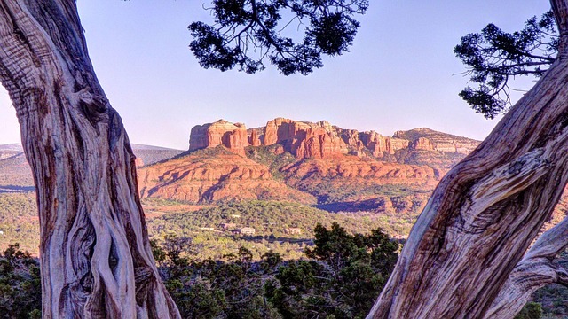 Bodify Arizona