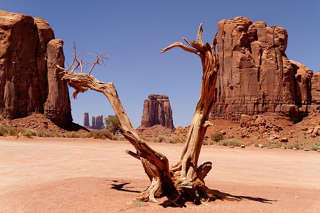 Bodify Arizona
