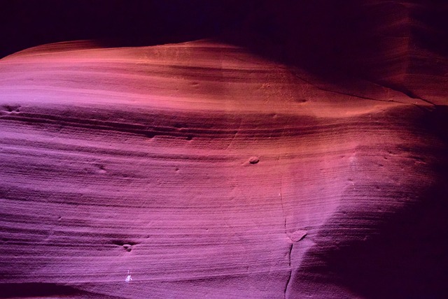 Bodify Arizona
