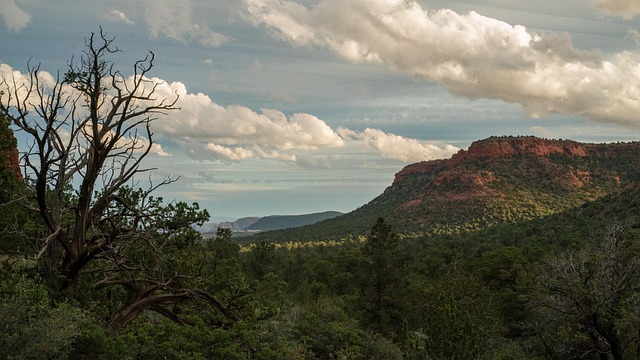 Bodify Arizona
