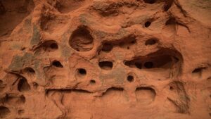 Bodify Med Spa: CoolSculpting and Body Contouring Experts in Arizona