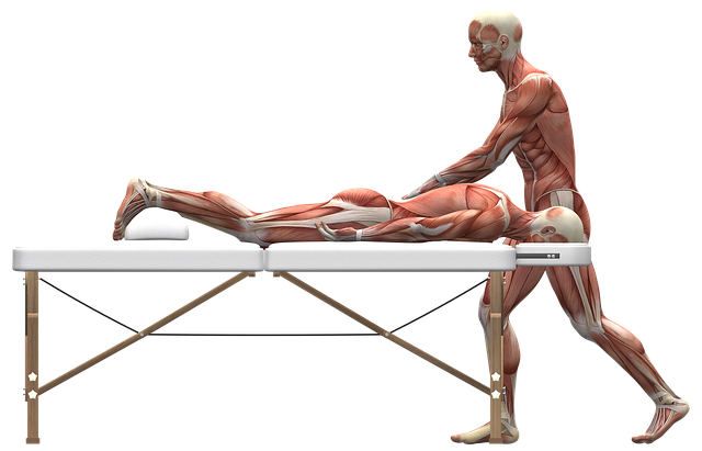 Body Sculpting Treatments