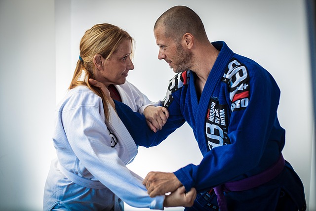 Brazilian Jiu Jitsu Phoenix
