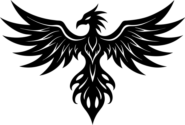 Brazilian Jiu Jitsu Phoenix