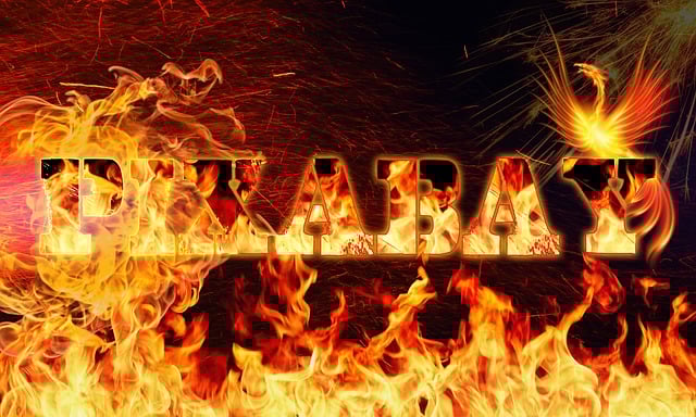 Brazilian Jiu Jitsu Phoenix