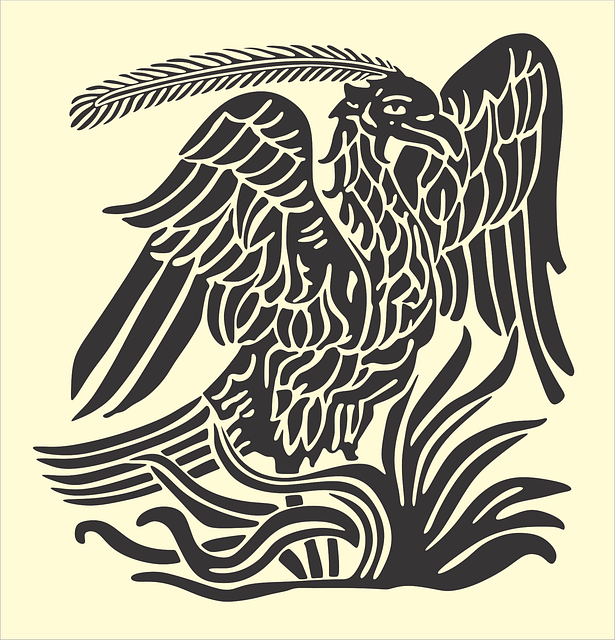 Brazilian Jiu Jitsu Phoenix