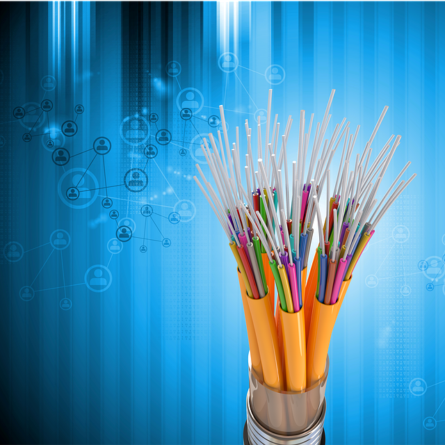 Breadcrumb Structured Data