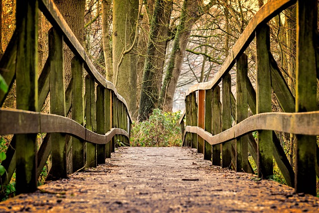 Breadcrumb Trail Schema