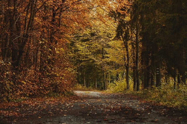 Breadcrumb Trail Schema