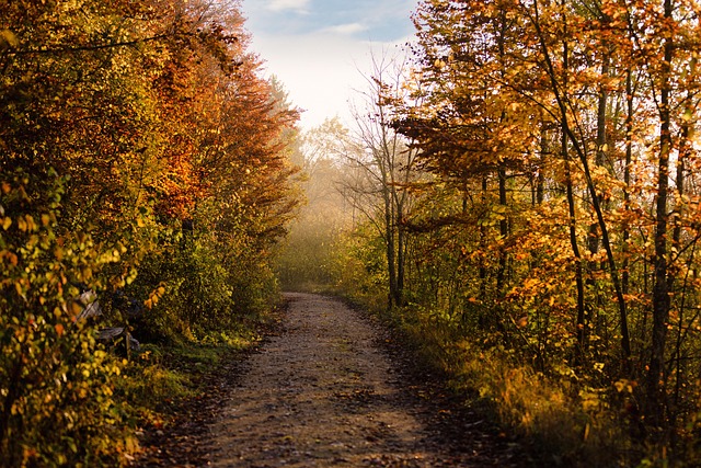 Breadcrumb Trail Schema