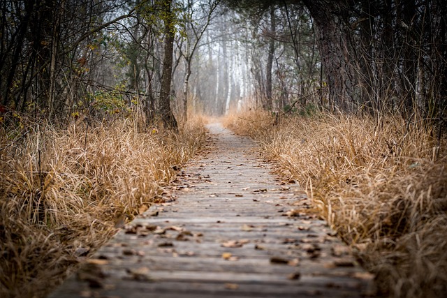 Breadcrumb Trail Schema