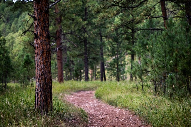 Breadcrumb Trail Schema