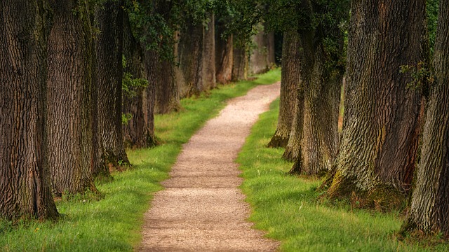 Breadcrumb Trail Schema