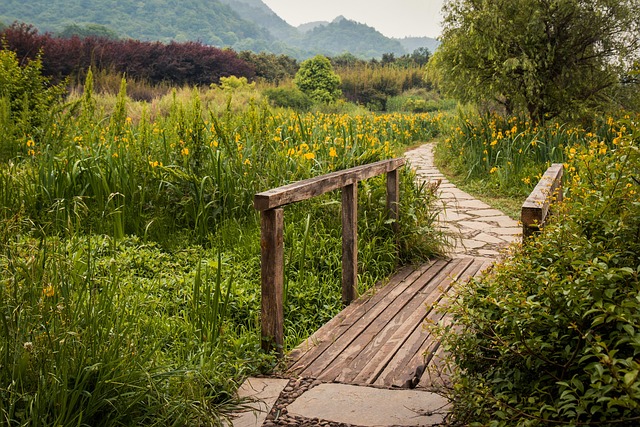 Breadcrumb Trail Schema
