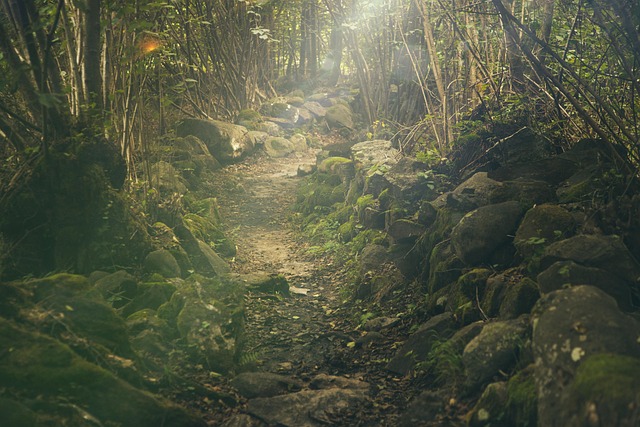 Breadcrumb Trail Schema