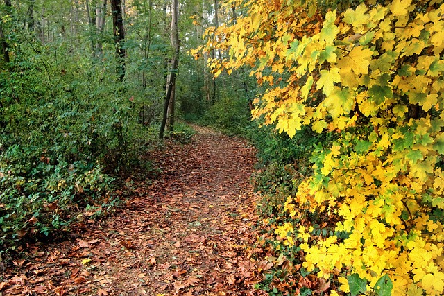 Breadcrumb Trail Schema