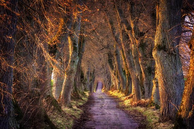 Breadcrumb Trail Schema