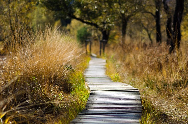 Breadcrumb Trail Schema